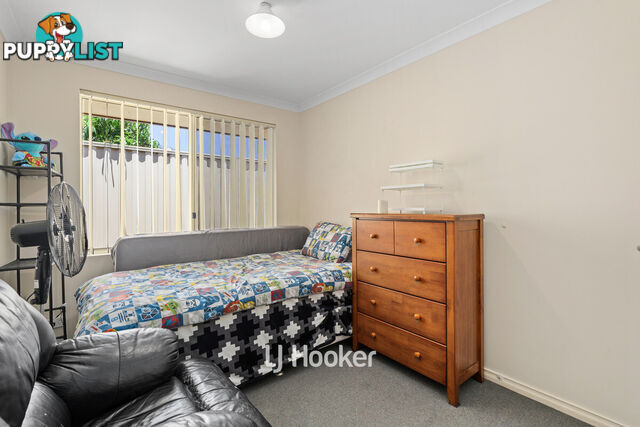 1/8 Ash Mews COLLIE WA 6225