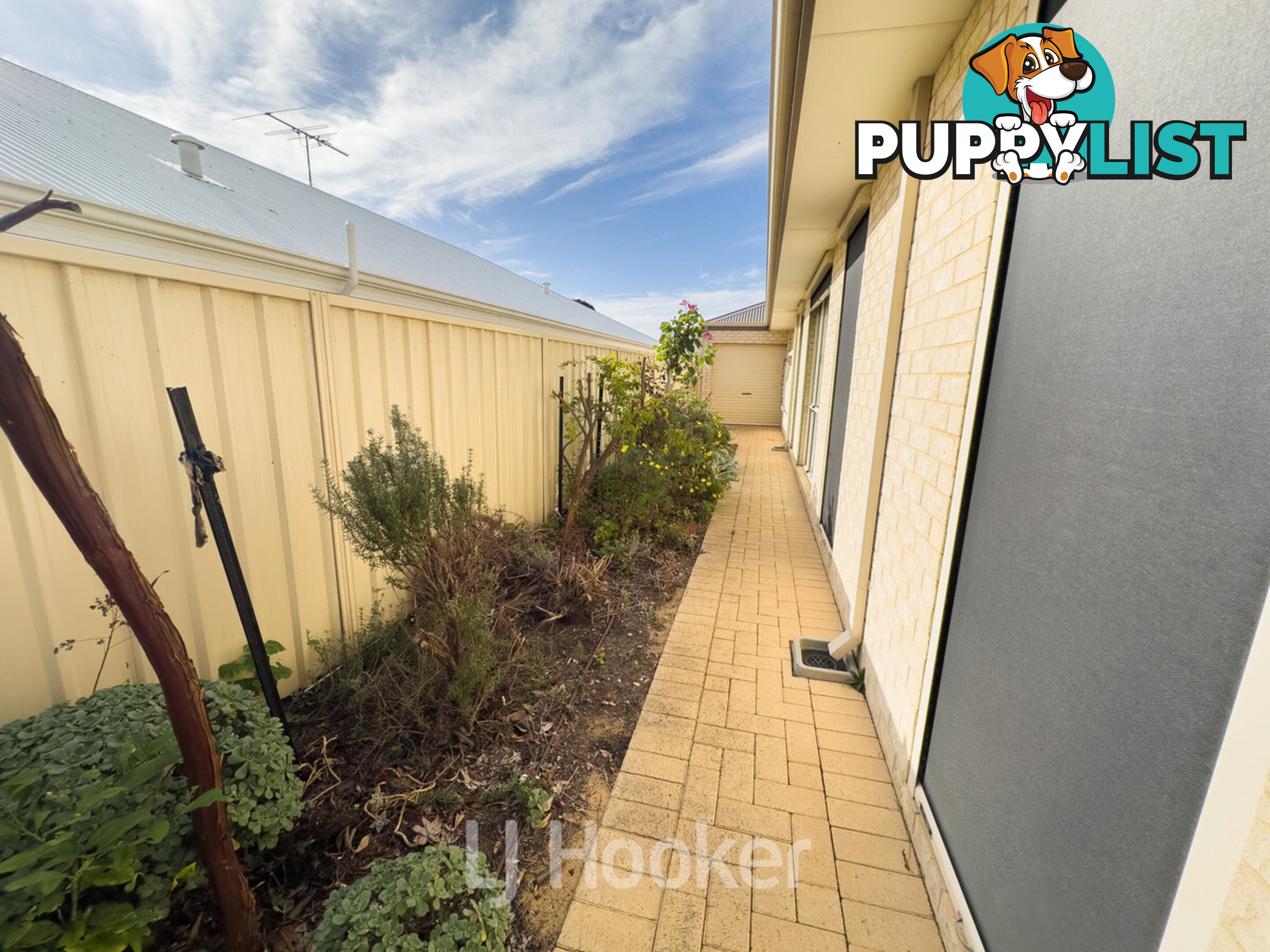 12 Biesiot Street CAREY PARK WA 6230