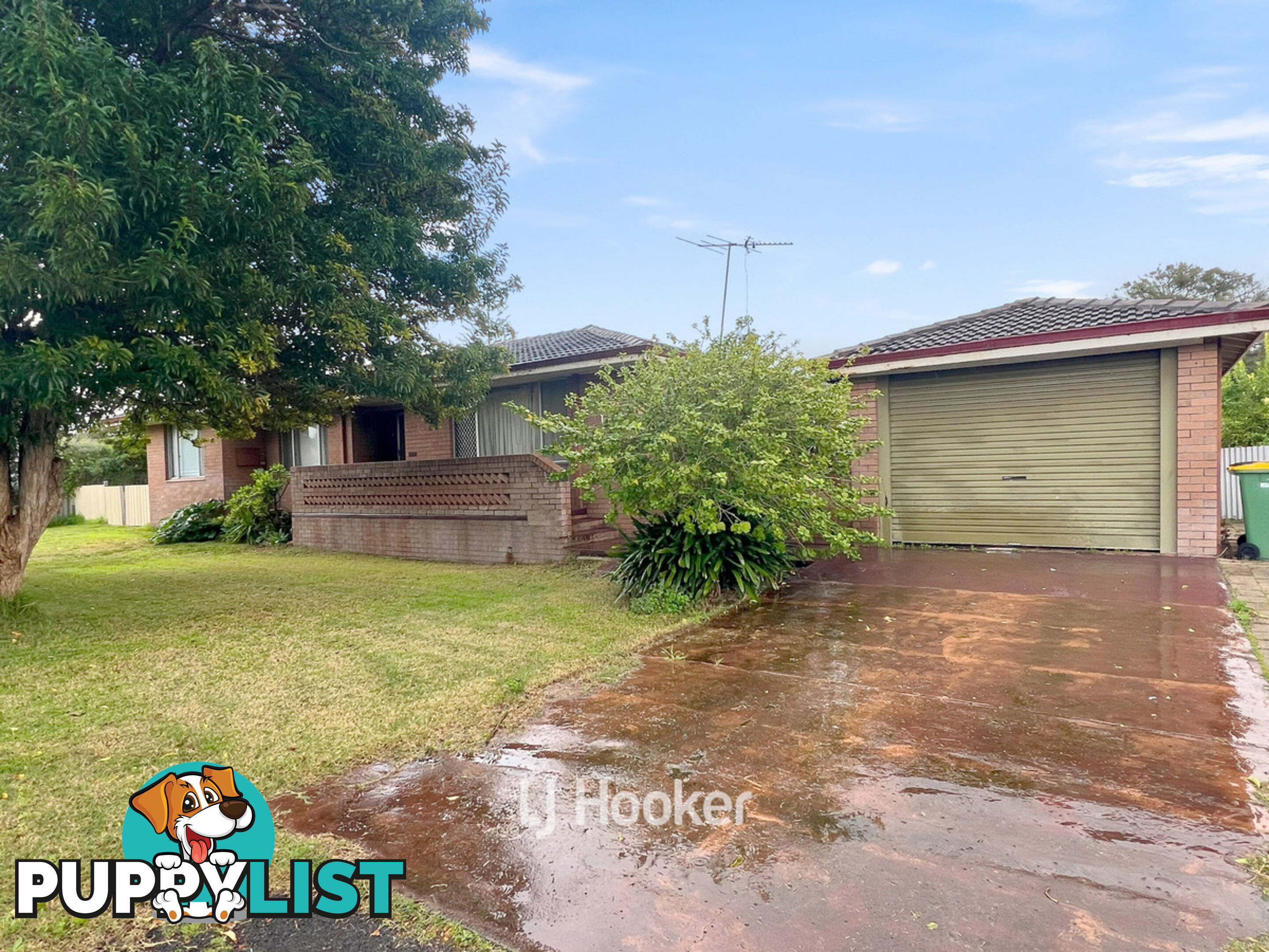 13 Maxted Street WEST BUSSELTON WA 6280