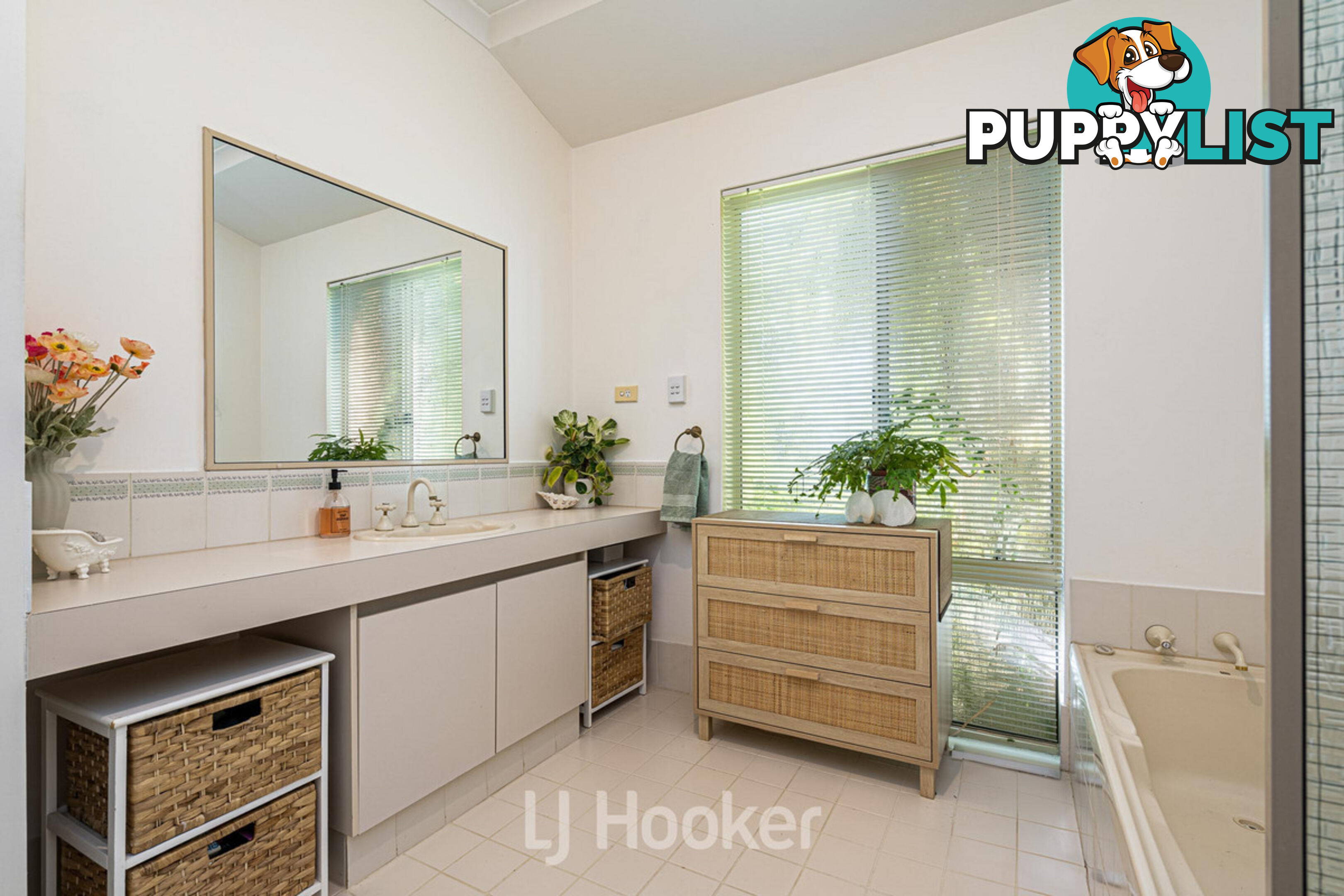 19 Princep Street GEOGRAPHE WA 6280
