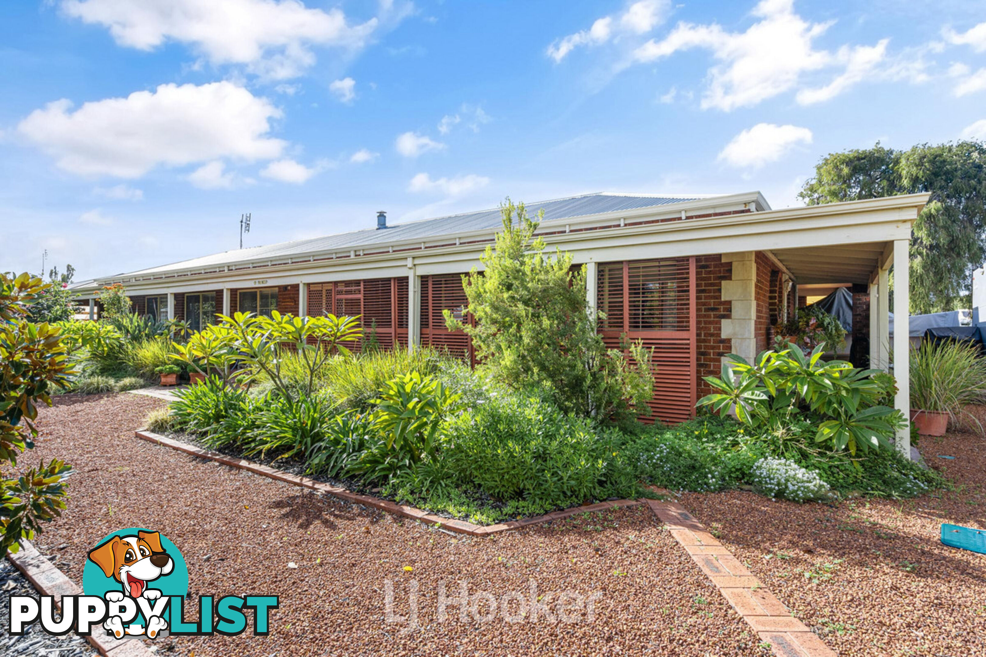 19 Princep Street GEOGRAPHE WA 6280