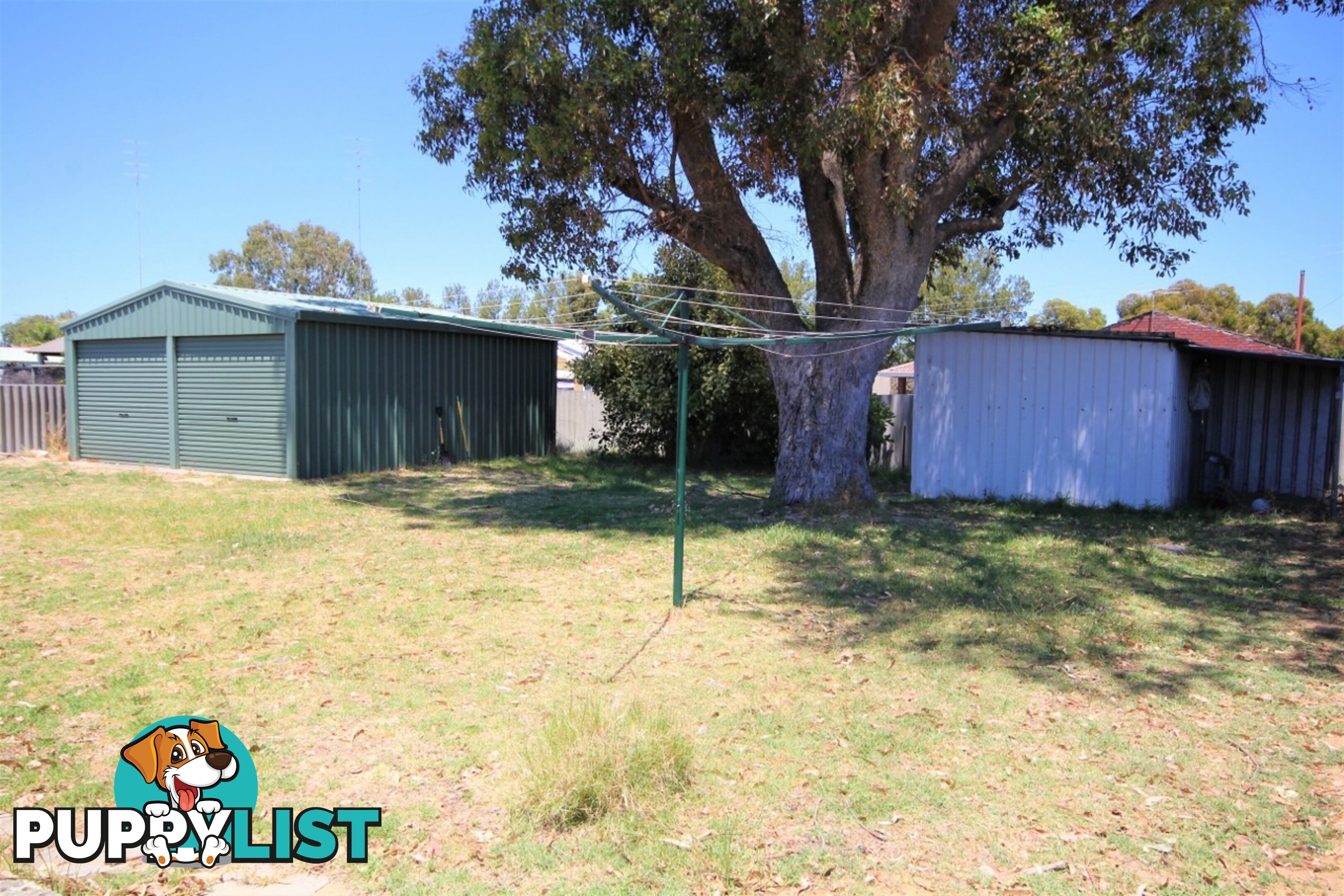 6 Ganfield Street CAREY PARK WA 6230