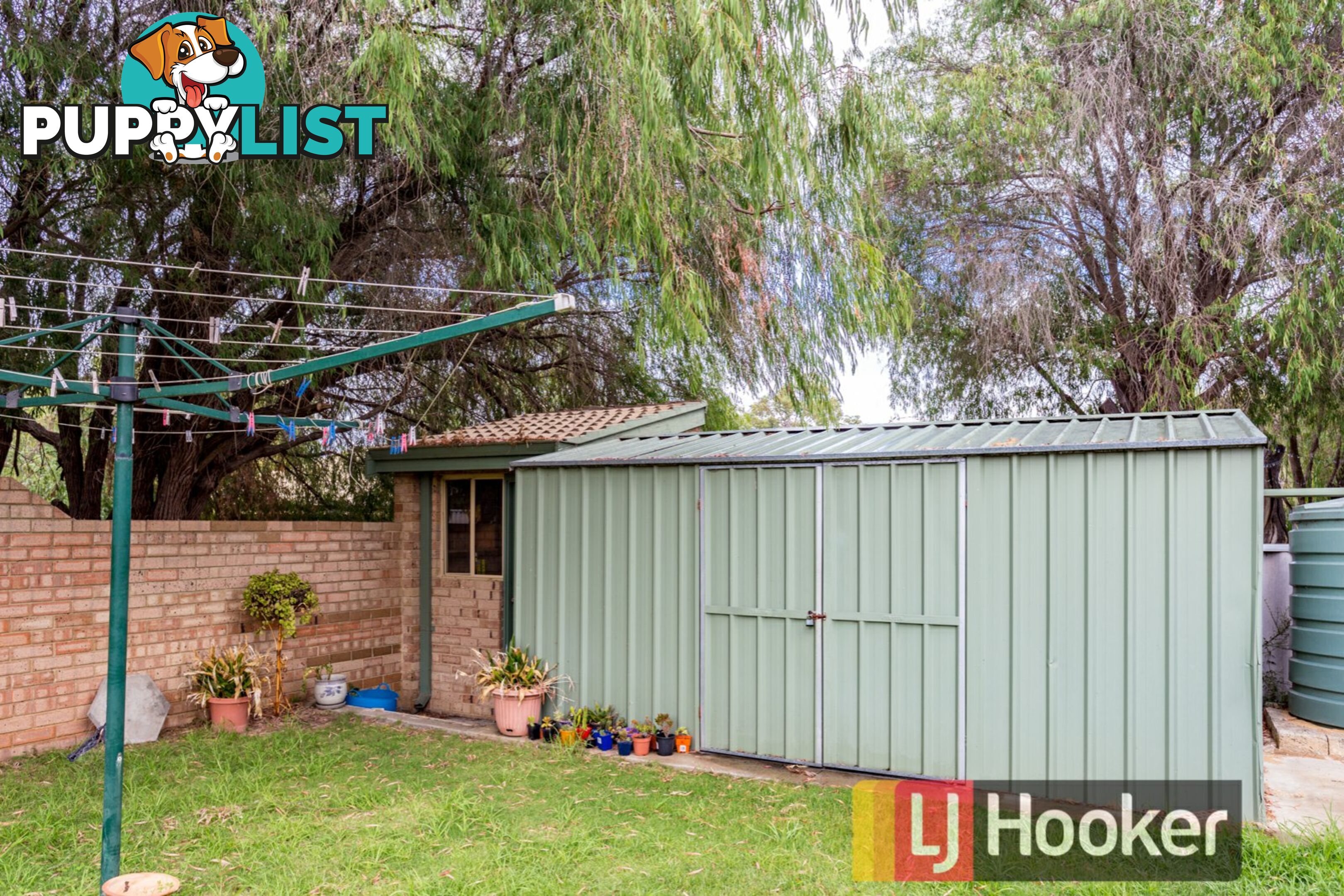 6/125 Mangles Street SOUTH BUNBURY WA 6230