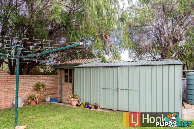 6/125 Mangles Street SOUTH BUNBURY WA 6230