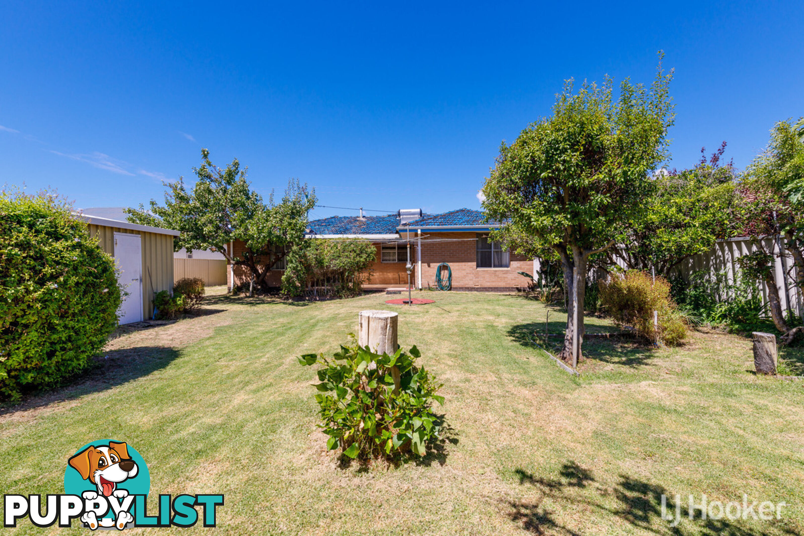 146 Spencer Street SOUTH BUNBURY WA 6230