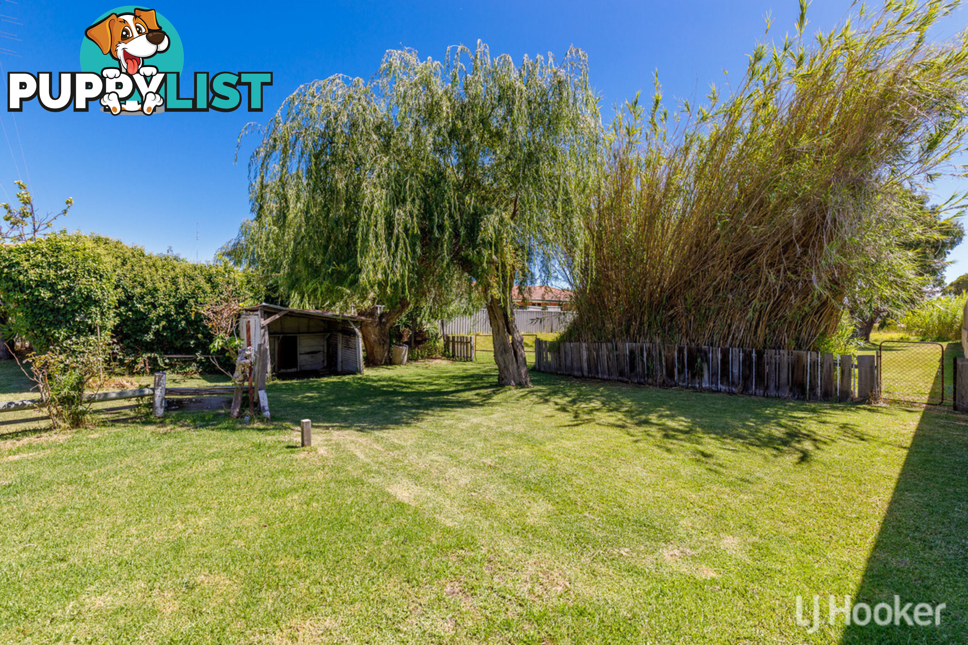 146 Spencer Street SOUTH BUNBURY WA 6230