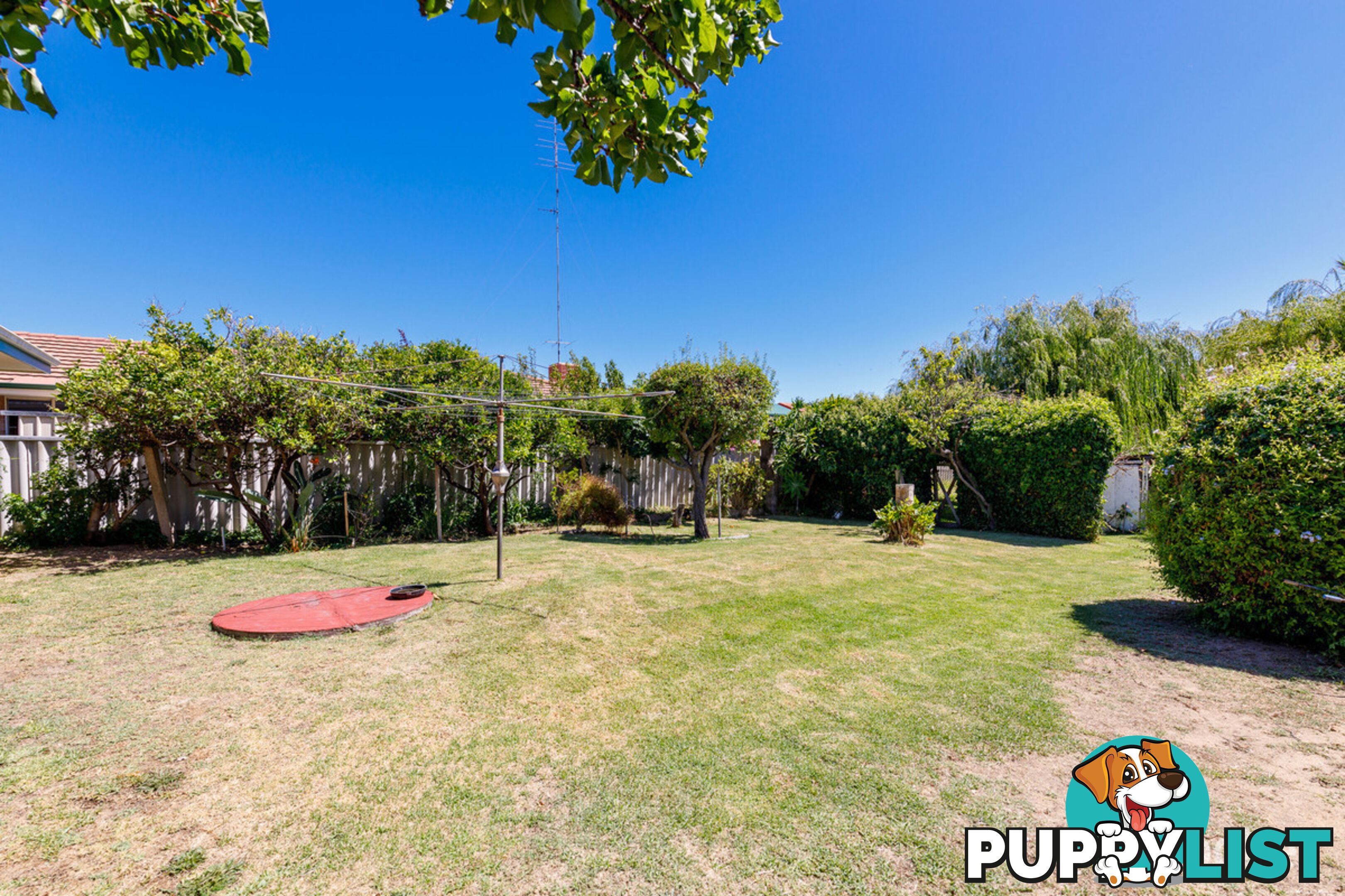 146 Spencer Street SOUTH BUNBURY WA 6230