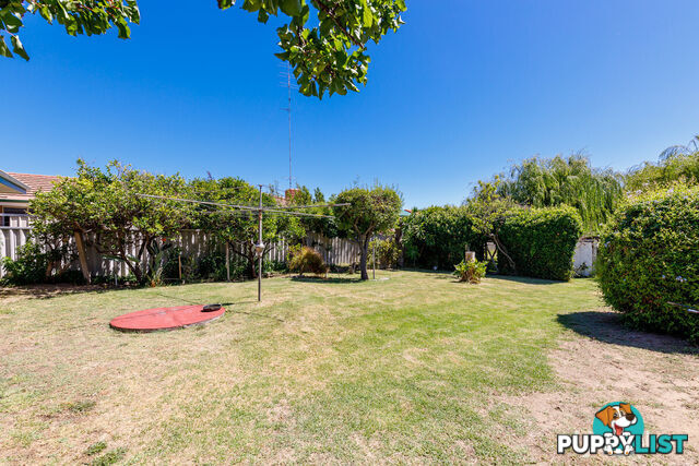 146 Spencer Street SOUTH BUNBURY WA 6230