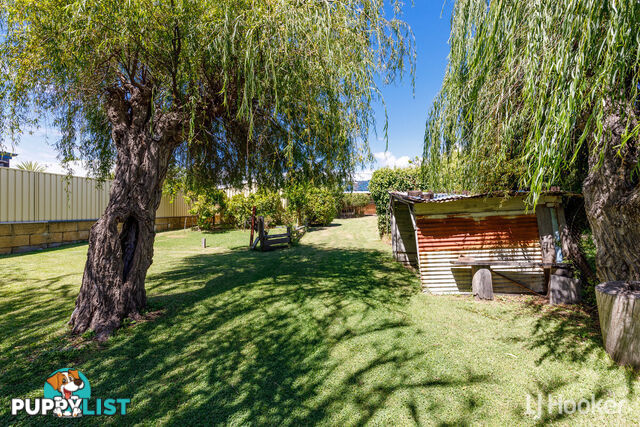 146 Spencer Street SOUTH BUNBURY WA 6230