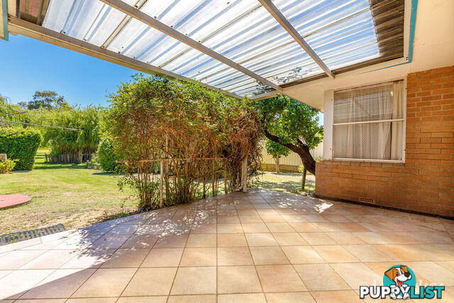 146 Spencer Street SOUTH BUNBURY WA 6230