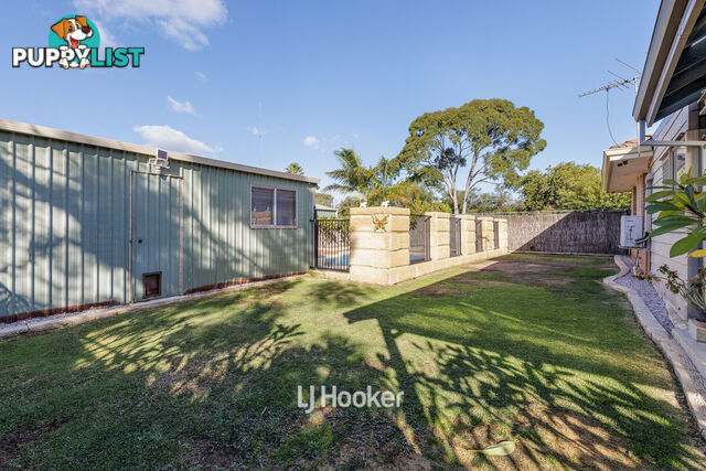 17 Waterwitch Street CAREY PARK WA 6230