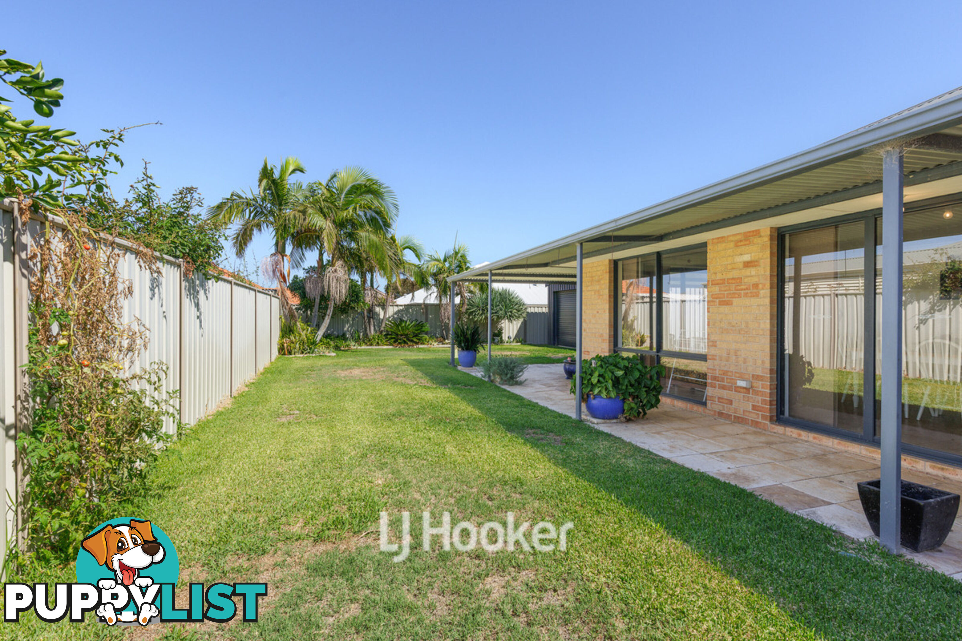 8 Onyx Brace AUSTRALIND WA 6233