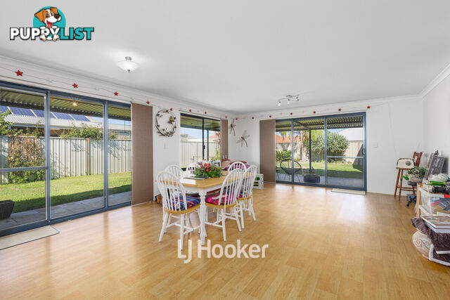8 Onyx Brace AUSTRALIND WA 6233
