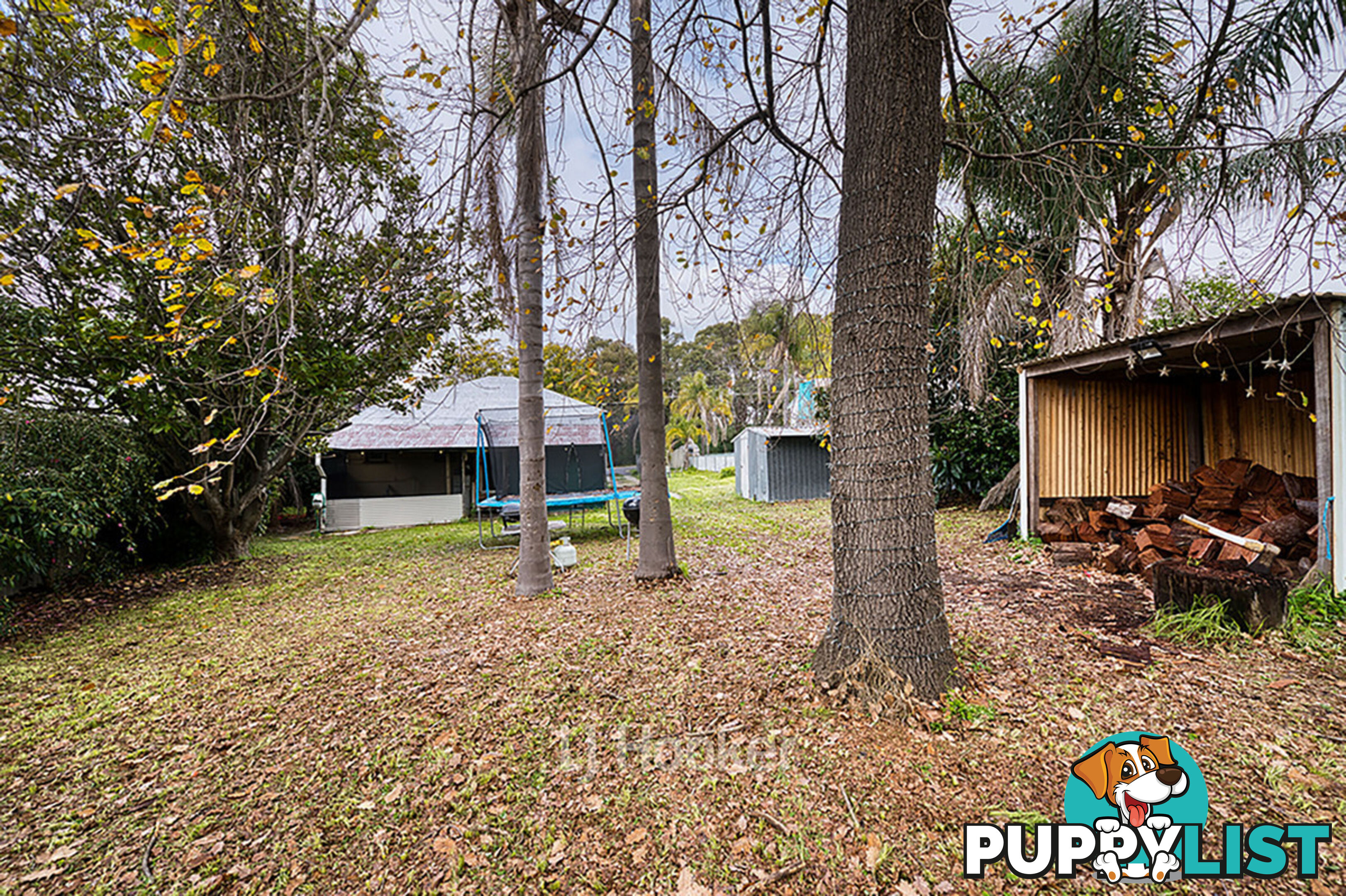 47 Porter Street COLLIE WA 6225