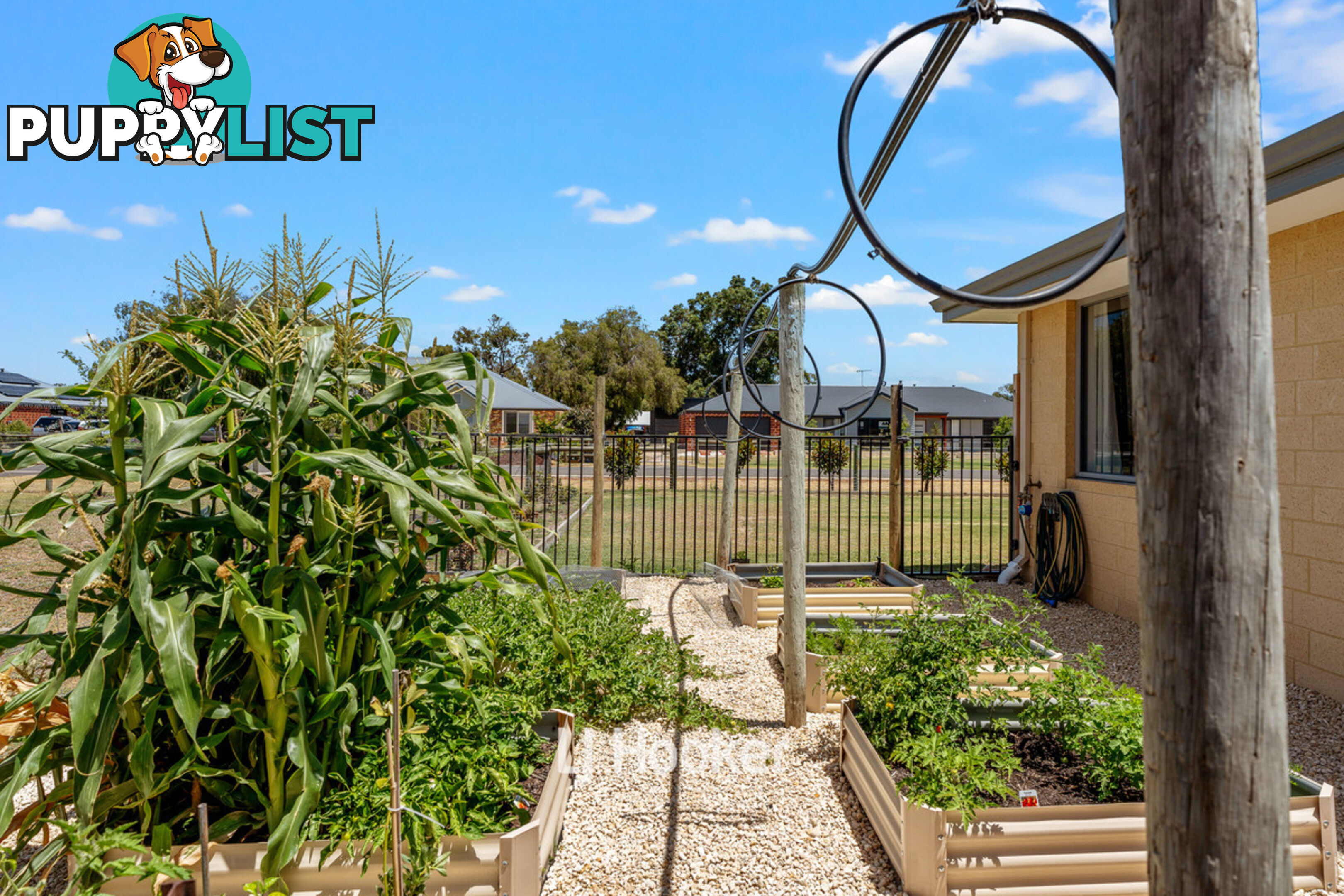 22 Whimbrel Way VASSE WA 6280