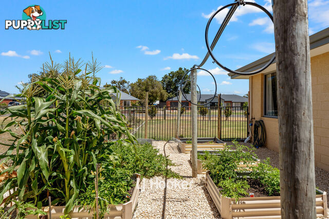 22 Whimbrel Way VASSE WA 6280