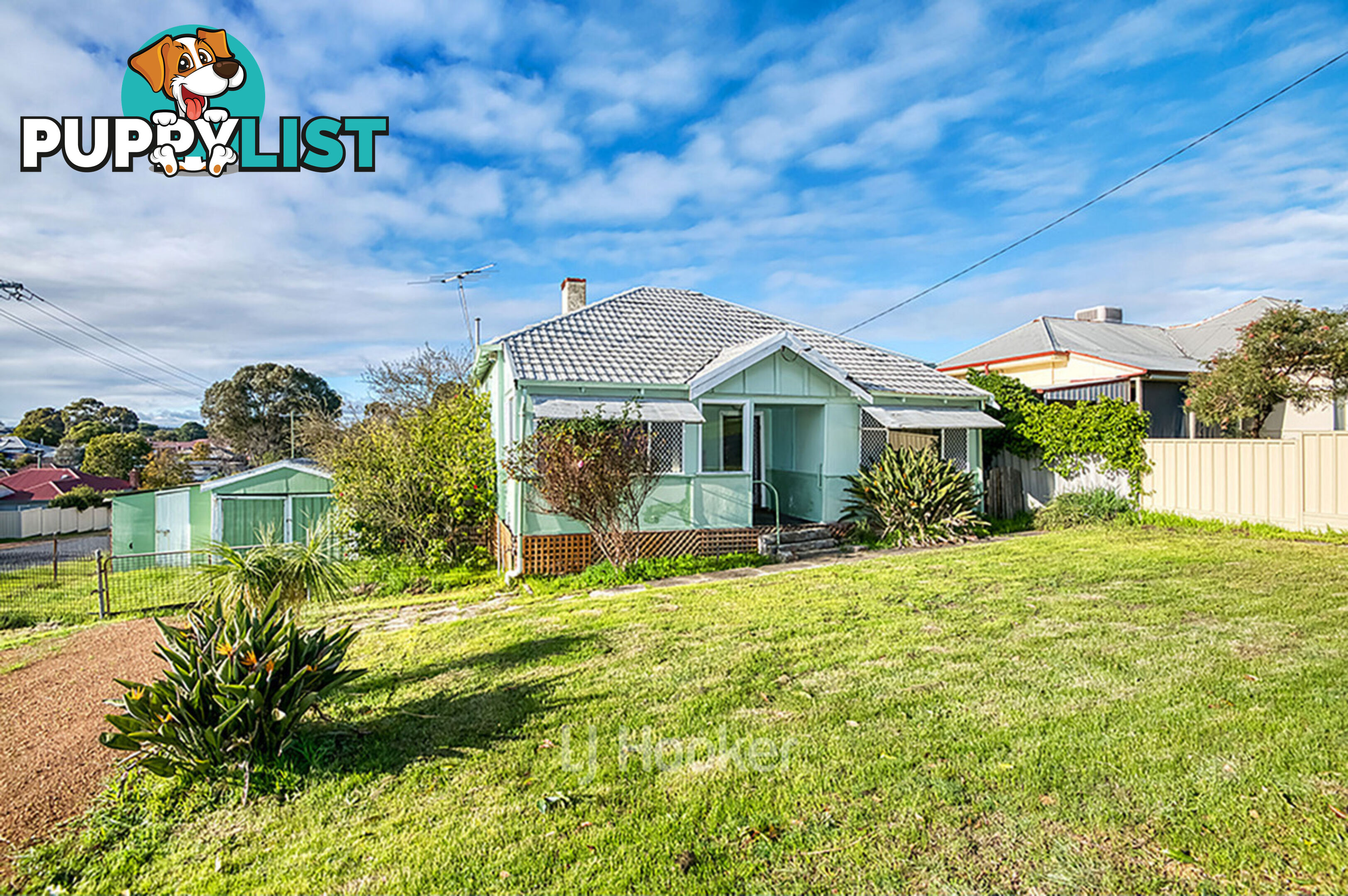 16 Bucktin Street COLLIE WA 6225