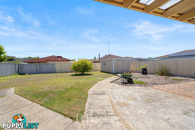 23 Black Swan Drive WEST BUSSELTON WA 6280