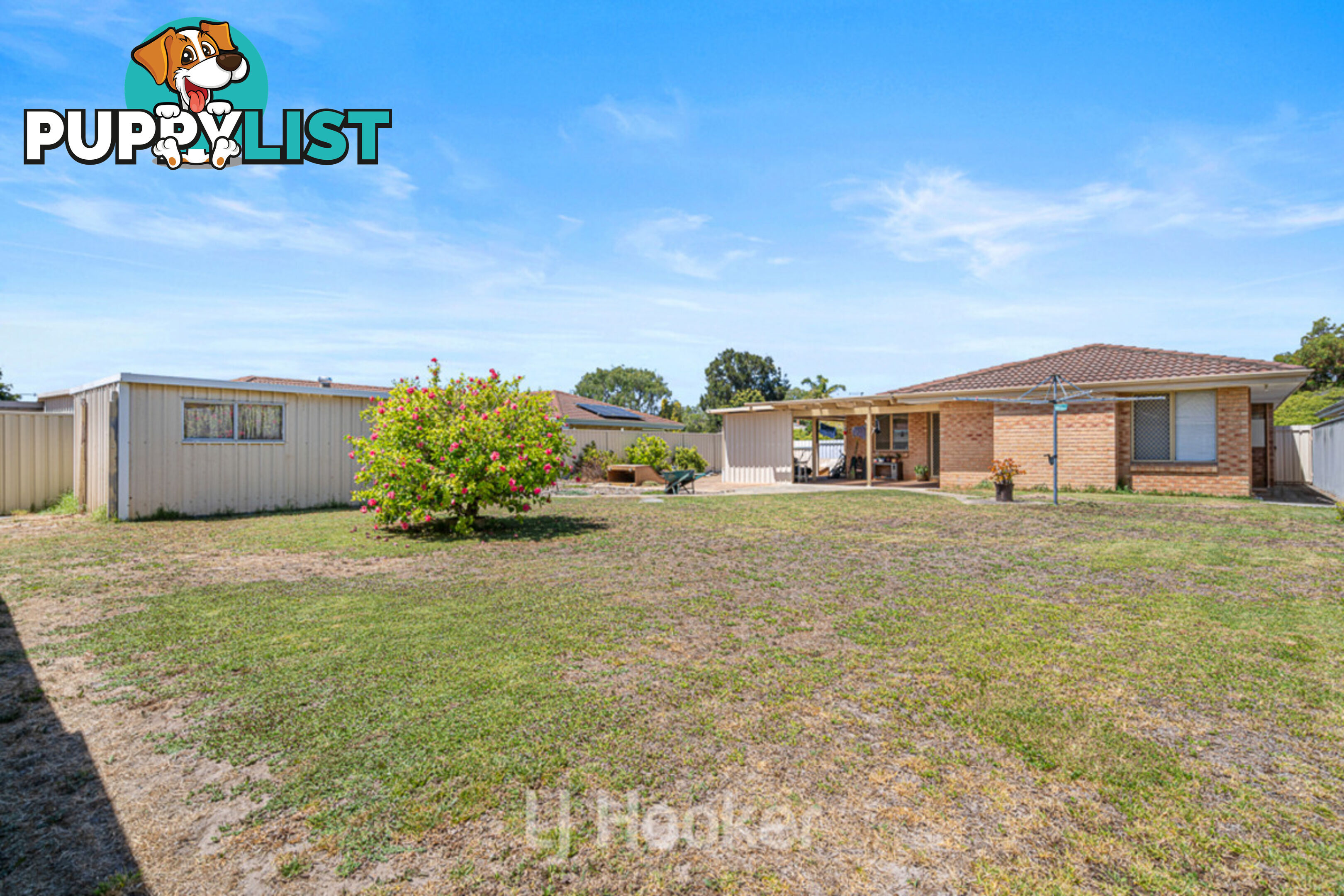 23 Black Swan Drive WEST BUSSELTON WA 6280