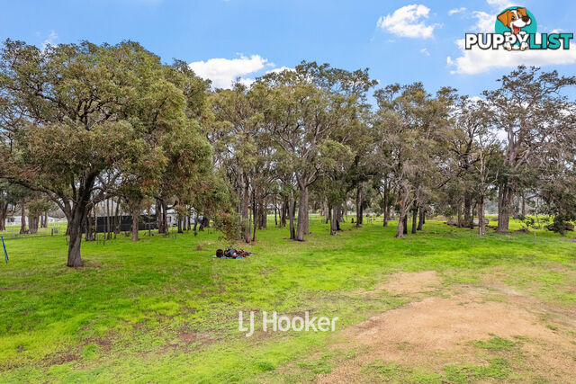 106 Dryandra Avenue YALLINGUP WA 6282