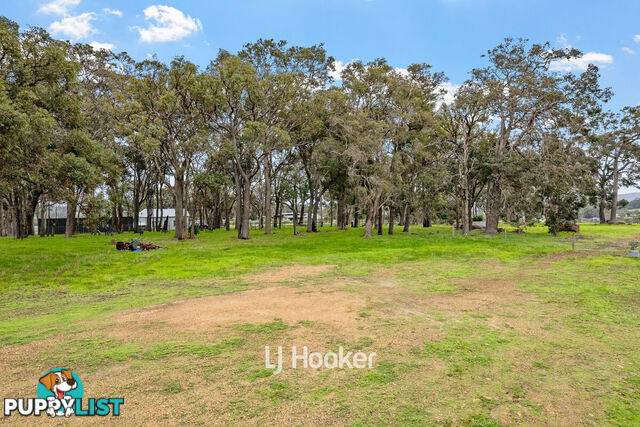 106 Dryandra Avenue YALLINGUP WA 6282