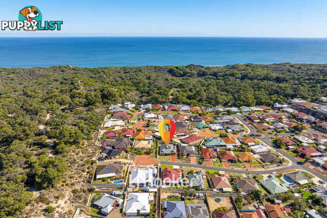 12 Costello Court USHER WA 6230