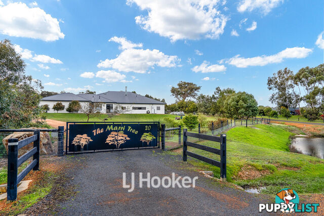 20 Hebrides Close QUINDALUP WA 6281