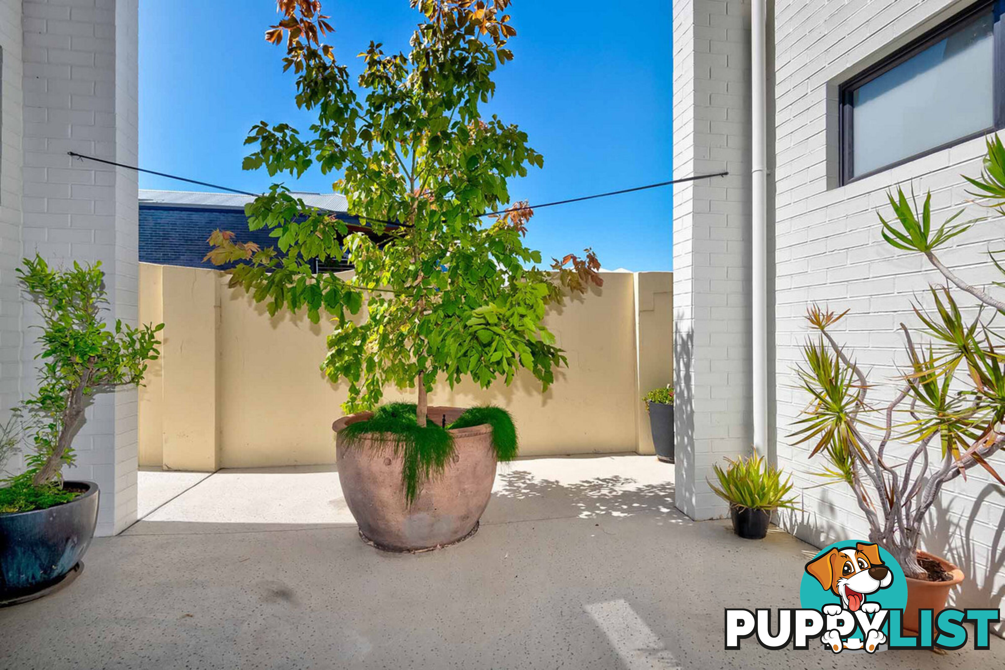 16/15 Parkfield Street BUNBURY WA 6230