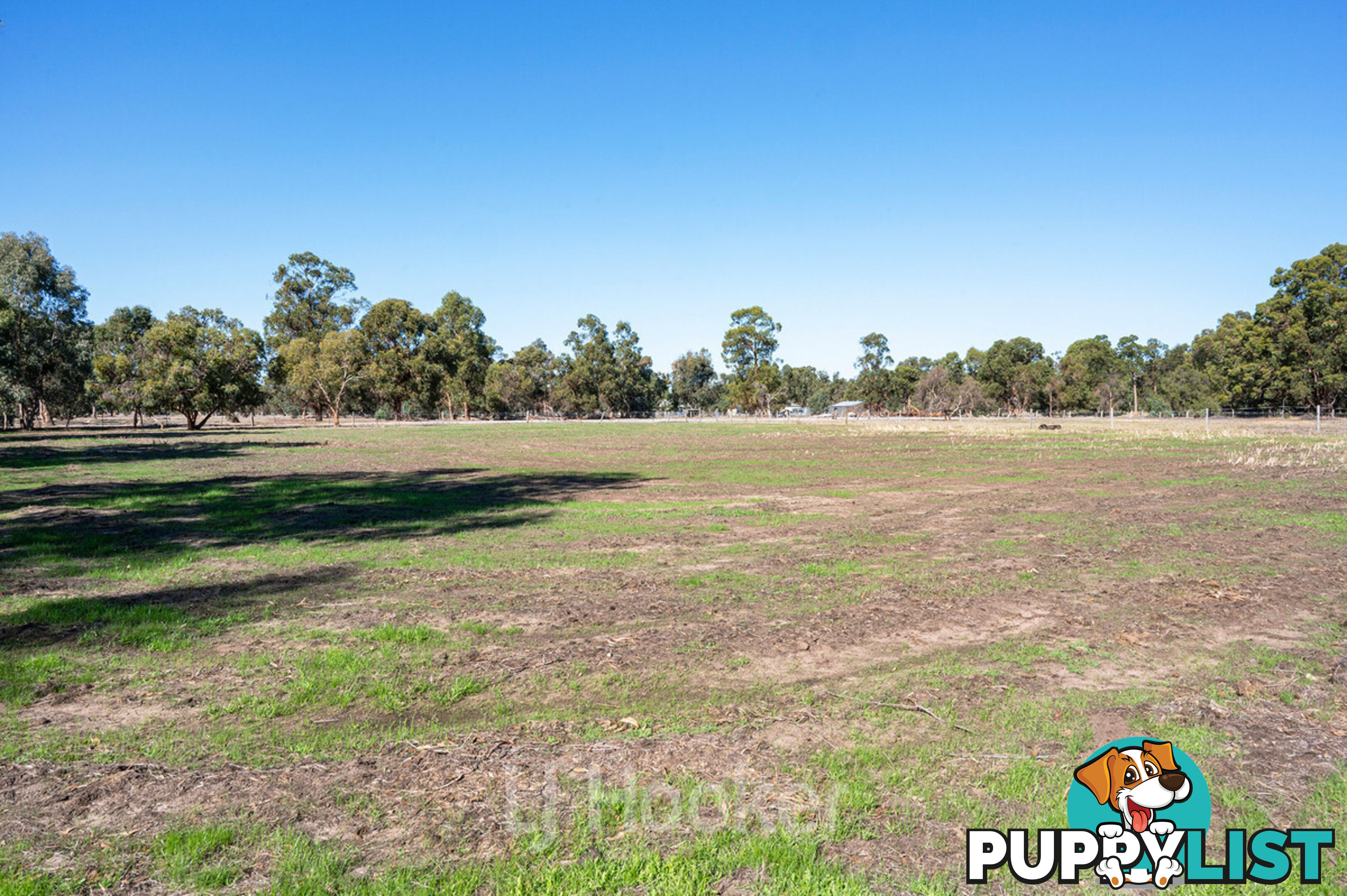 14 Coonan Avenue DARDANUP WEST WA 6236