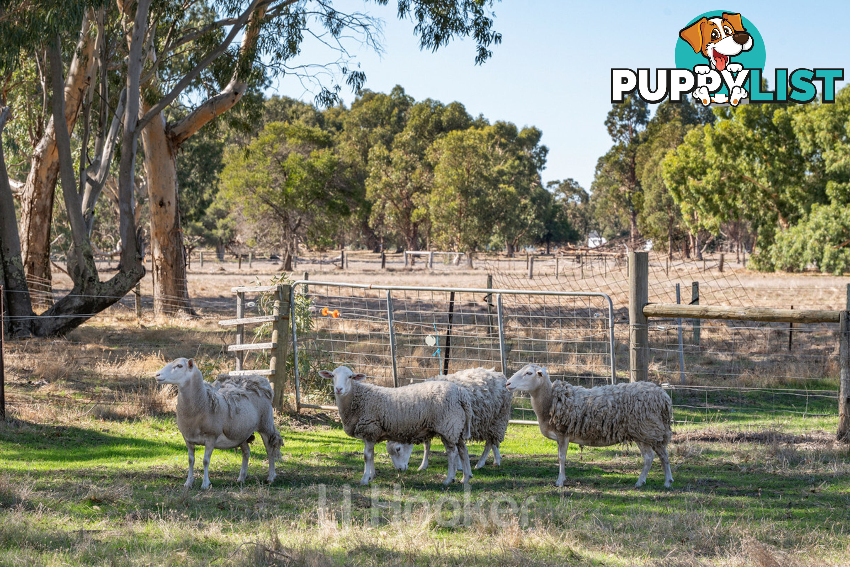 14 Coonan Avenue DARDANUP WEST WA 6236
