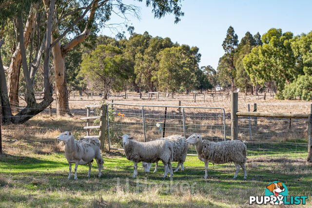 14 Coonan Avenue DARDANUP WEST WA 6236