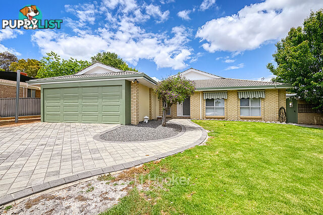 20 Spicer Street COLLIE WA 6225