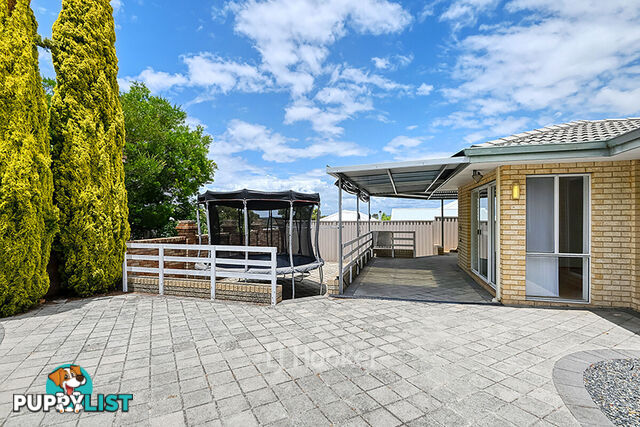 20 Spicer Street COLLIE WA 6225