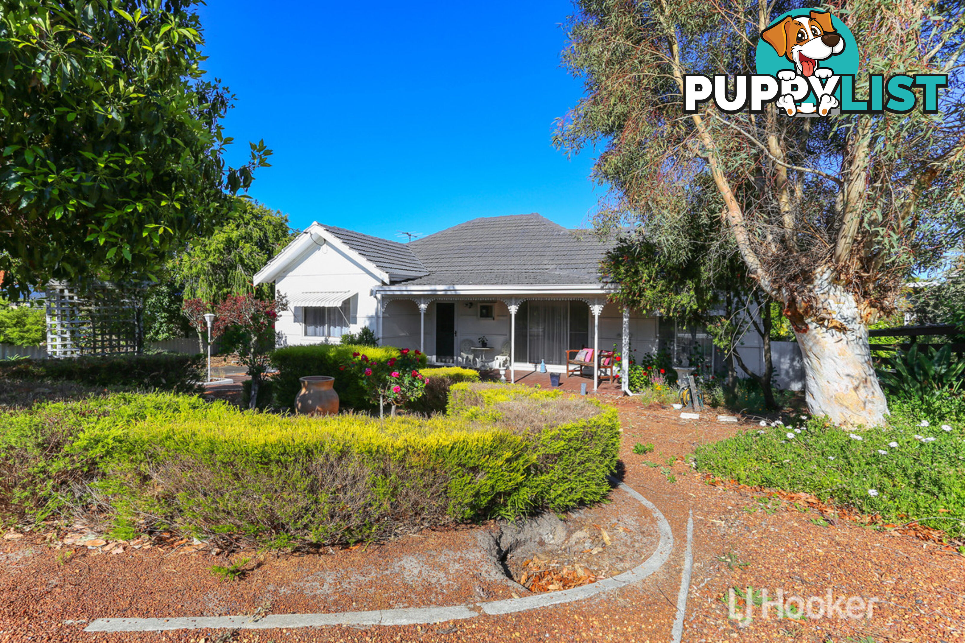 74 Swanstone Street COLLIE WA 6225