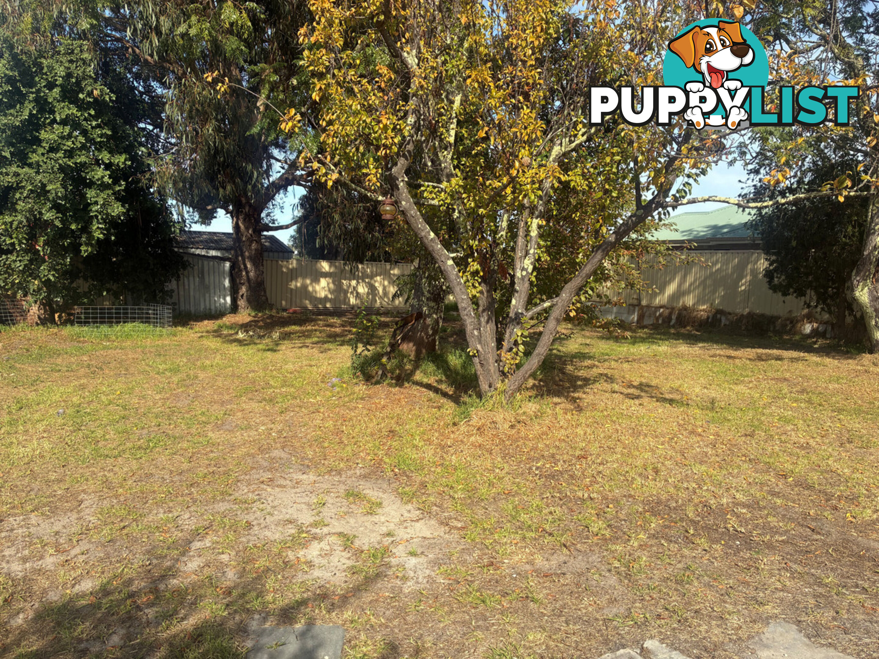 34 Simpson Street COLLIE WA 6225