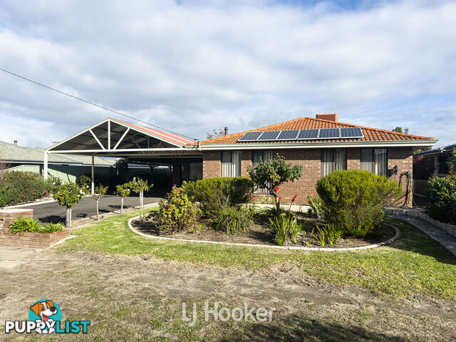 55 Jones Street COLLIE WA 6225