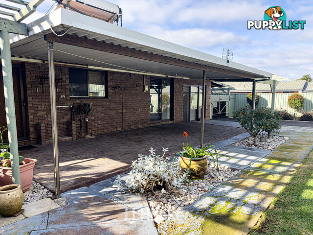 55 Jones Street COLLIE WA 6225