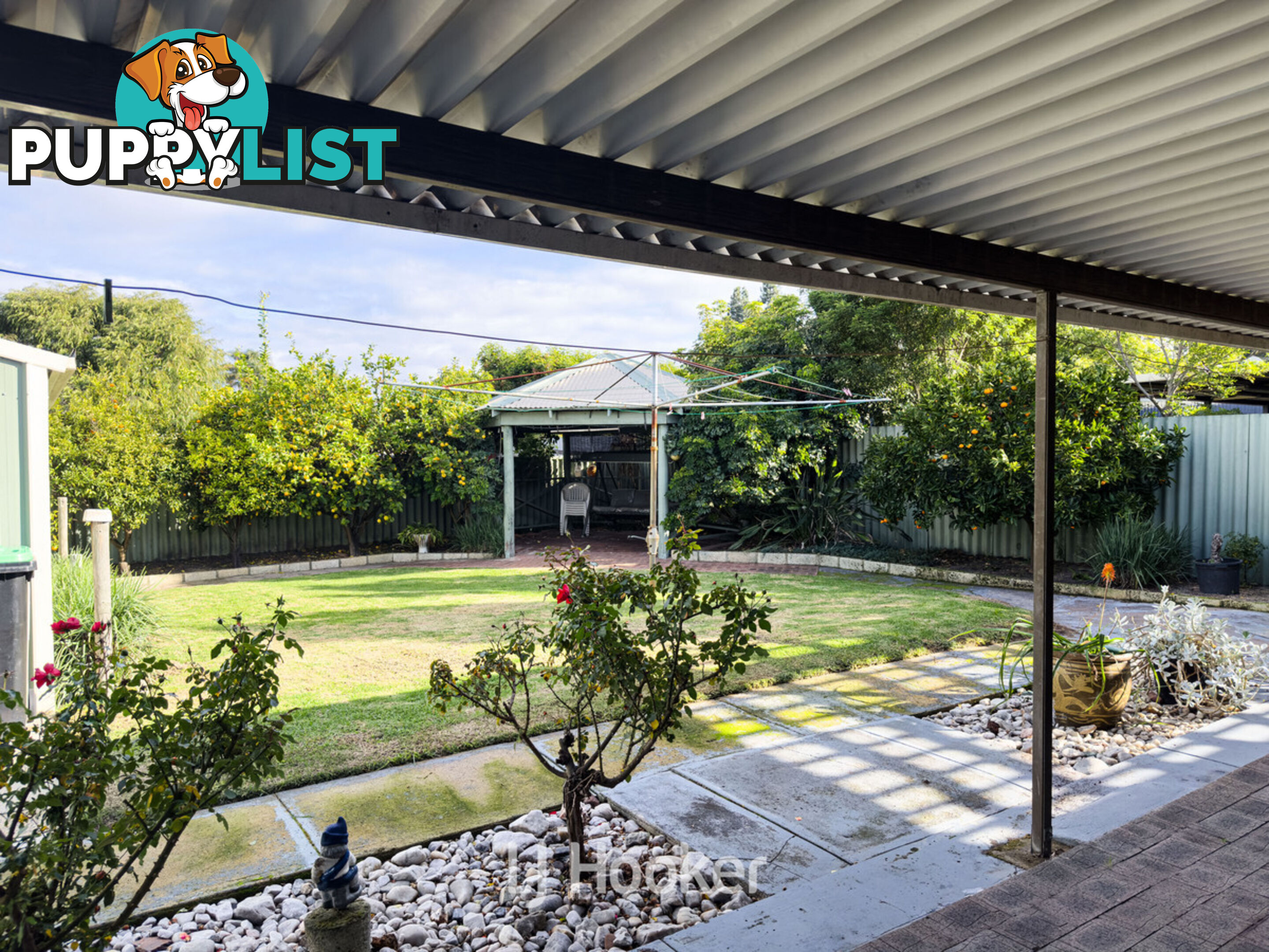 55 Jones Street COLLIE WA 6225