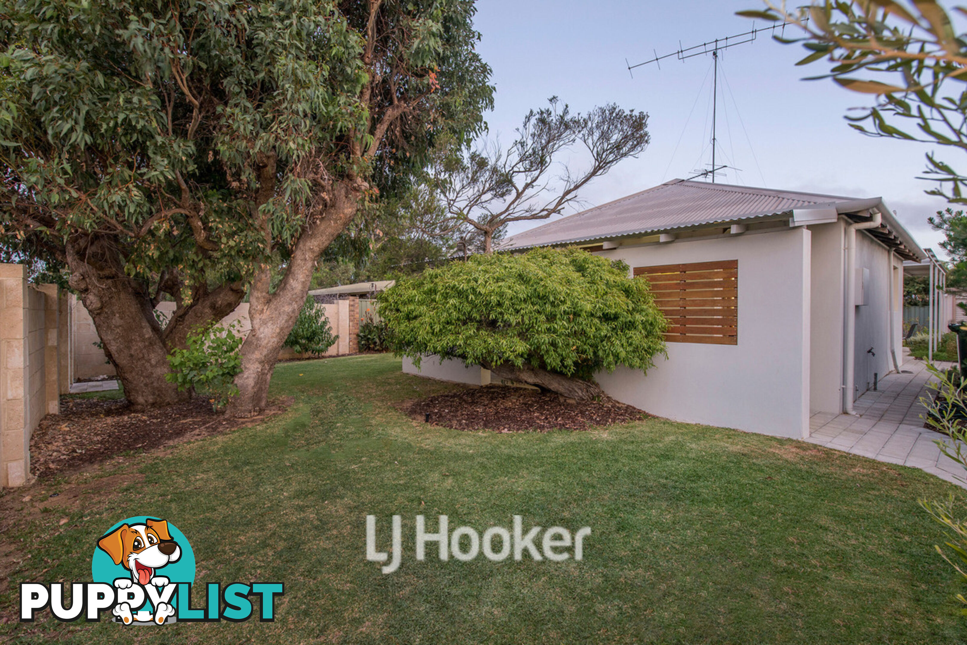 41 Chieftain Crescent DUNSBOROUGH WA 6281