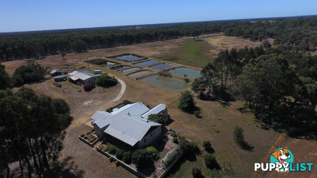 659 Downs Road TUTUNUP WA 6280