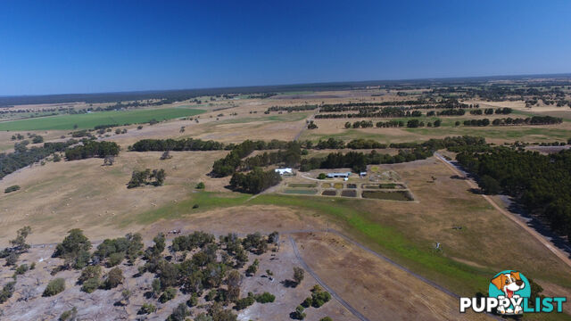 659 Downs Road TUTUNUP WA 6280