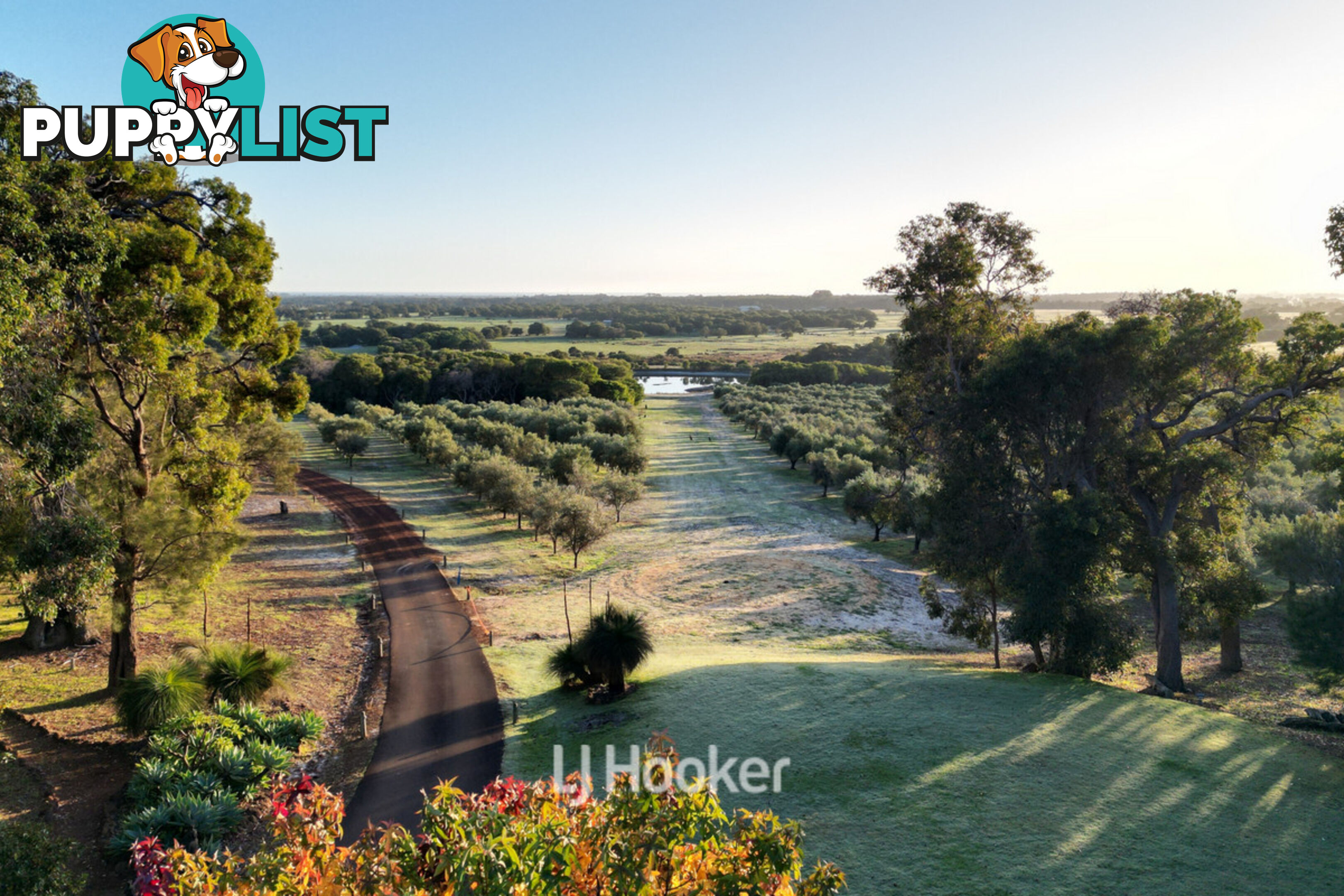 50 Treemartin Road CARBUNUP RIVER WA 6280