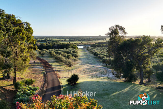 50 Treemartin Road CARBUNUP RIVER WA 6280