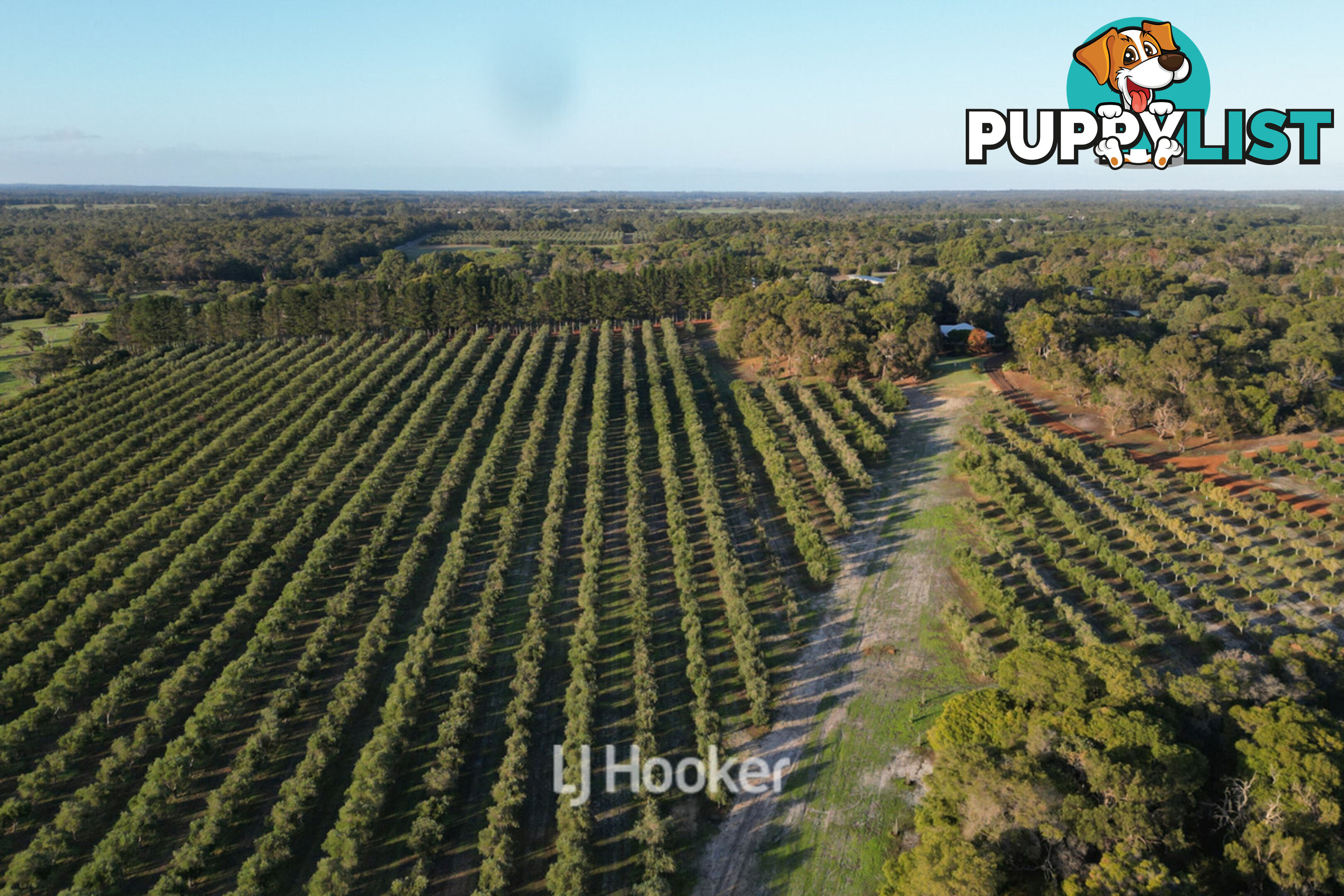 50 Treemartin Road CARBUNUP RIVER WA 6280