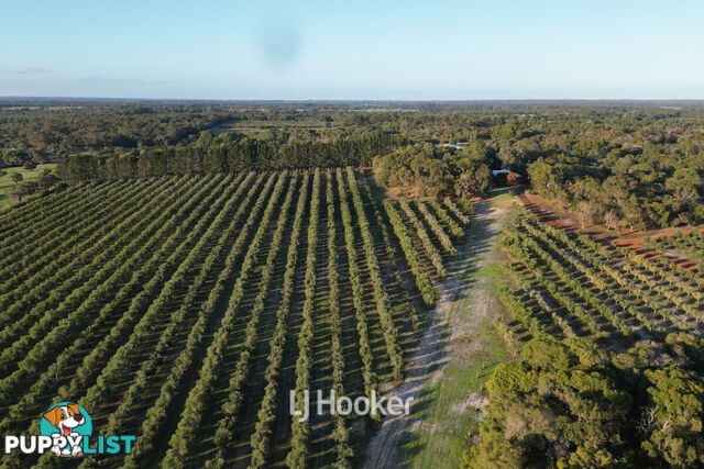 50 Treemartin Road CARBUNUP RIVER WA 6280