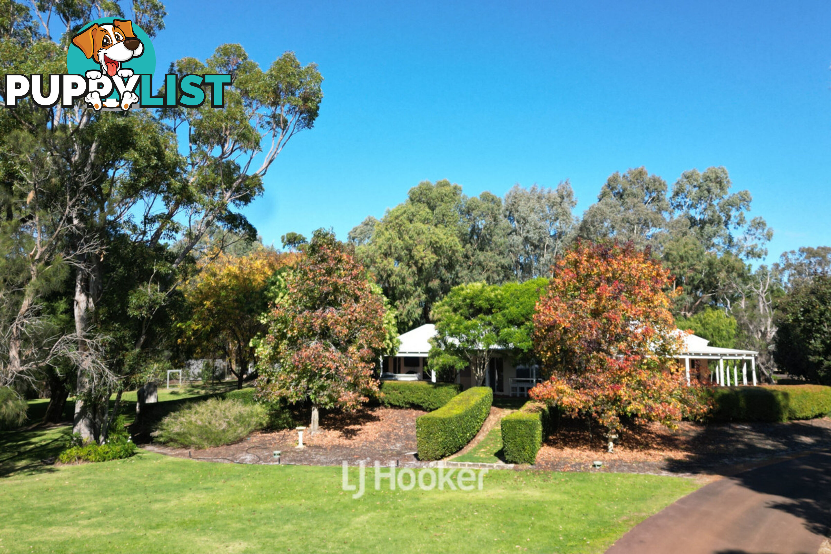 50 Treemartin Road CARBUNUP RIVER WA 6280