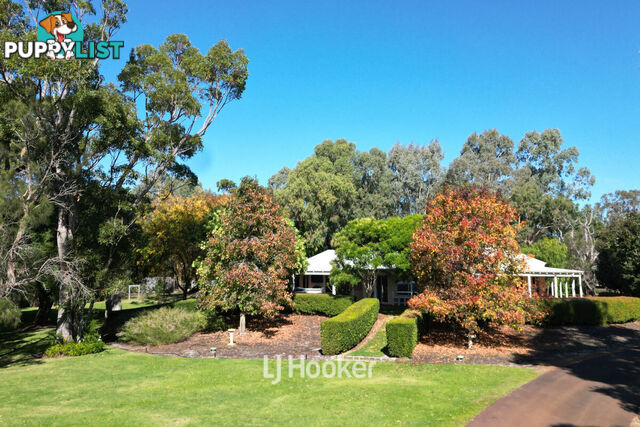 50 Treemartin Road CARBUNUP RIVER WA 6280