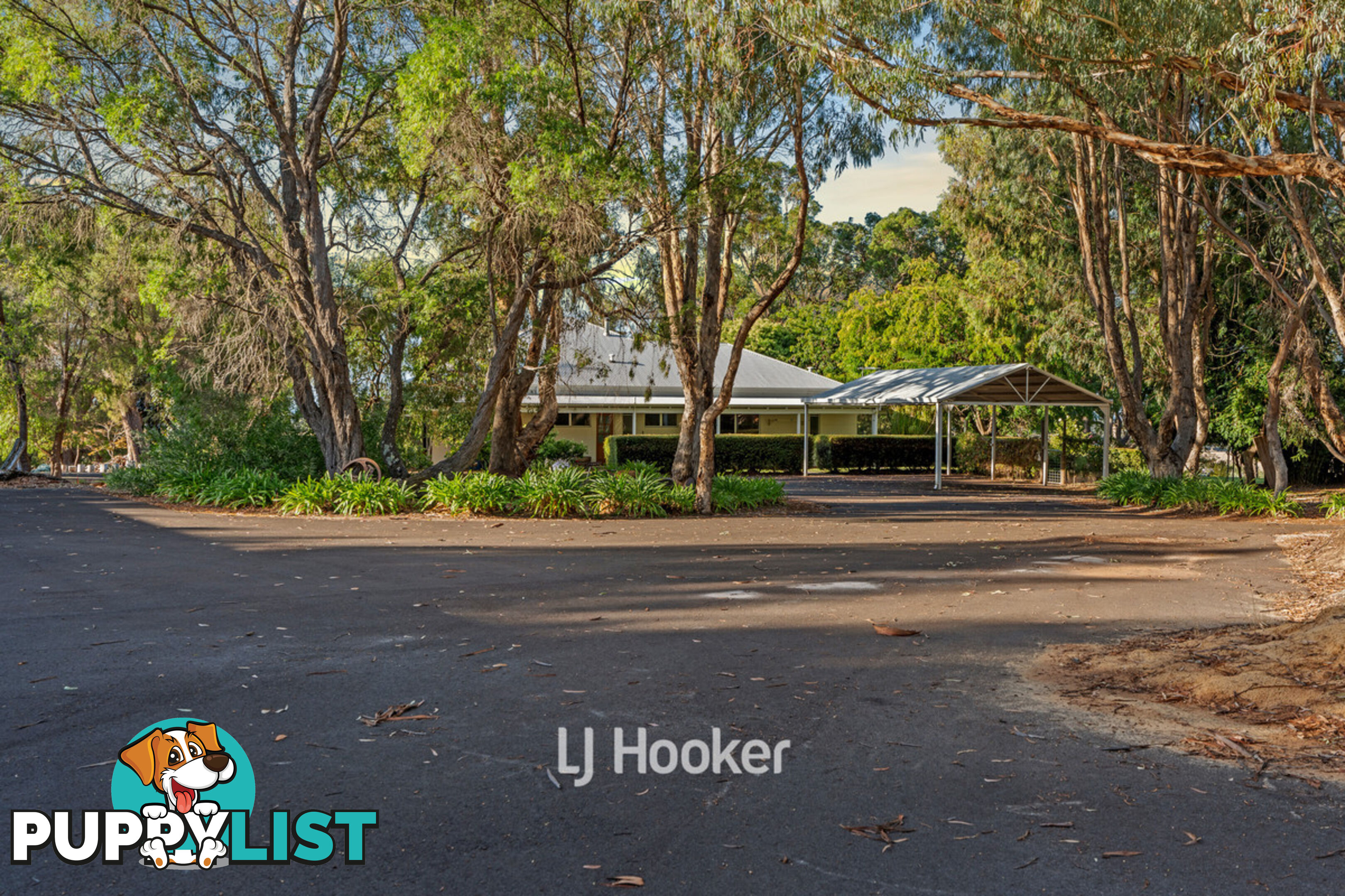 50 Treemartin Road CARBUNUP RIVER WA 6280