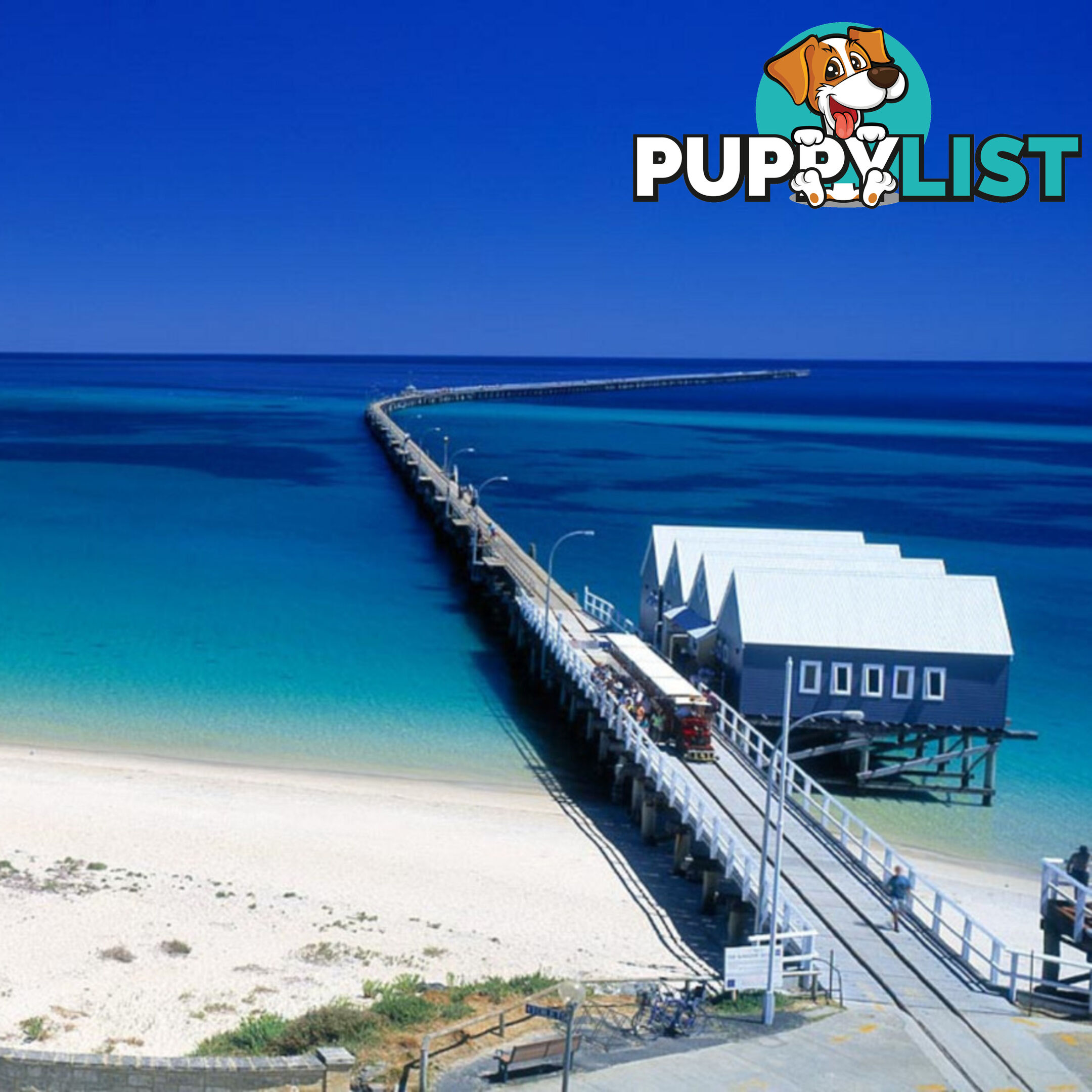 Proposed Lot 2 & 3/6 Edwards Street BUSSELTON WA 6280