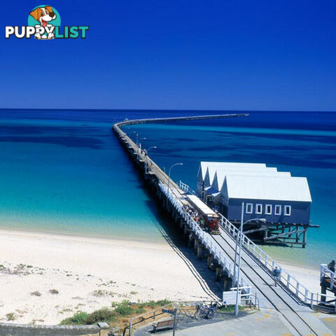 Proposed Lot 2 & 3/6 Edwards Street BUSSELTON WA 6280